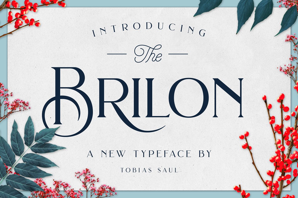 Example font Brilon #1